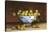 Bowl of Greengages-Mimi Roberts-Stretched Canvas