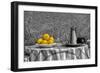 Bowl of Lemons-null-Framed Photo