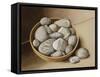 Bowl of Pebbles, 2005-Jenny Barron-Framed Stretched Canvas