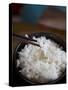 Bowl of Rice, China, Asia-Angelo Cavalli-Stretched Canvas