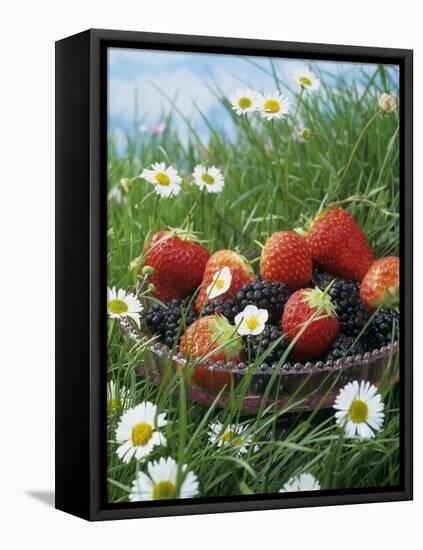 Bowl of Strawberries and Blackberries in Grass with Daisies-Linda Burgess-Framed Stretched Canvas