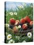 Bowl of Strawberries and Blackberries in Grass with Daisies-Linda Burgess-Stretched Canvas