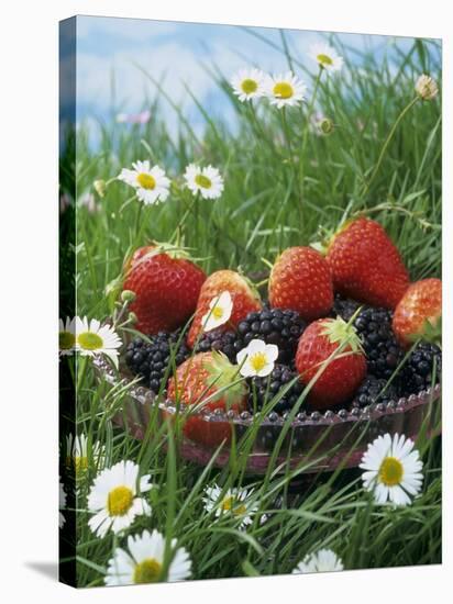Bowl of Strawberries and Blackberries in Grass with Daisies-Linda Burgess-Stretched Canvas