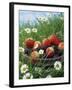 Bowl of Strawberries and Blackberries in Grass with Daisies-Linda Burgess-Framed Photographic Print