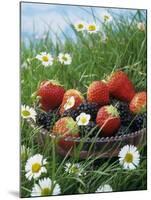 Bowl of Strawberries and Blackberries in Grass with Daisies-Linda Burgess-Mounted Photographic Print