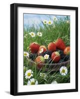 Bowl of Strawberries and Blackberries in Grass with Daisies-Linda Burgess-Framed Photographic Print