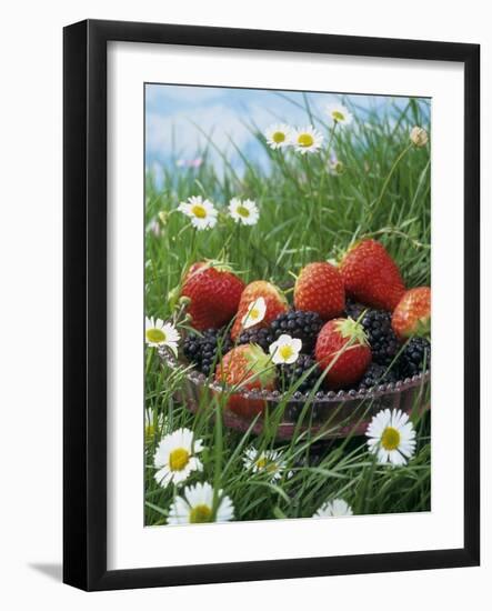 Bowl of Strawberries and Blackberries in Grass with Daisies-Linda Burgess-Framed Photographic Print