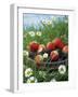 Bowl of Strawberries and Blackberries in Grass with Daisies-Linda Burgess-Framed Photographic Print