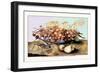 Bowl of Strawberries, Pears and a Grasshopper-Giovanna Garzoni-Framed Art Print