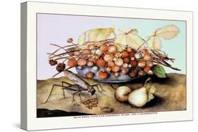 Bowl of Strawberries, Pears and a Grasshopper-Giovanna Garzoni-Stretched Canvas