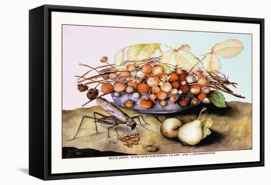 Bowl of Strawberries, Pears and a Grasshopper-Giovanna Garzoni-Framed Stretched Canvas