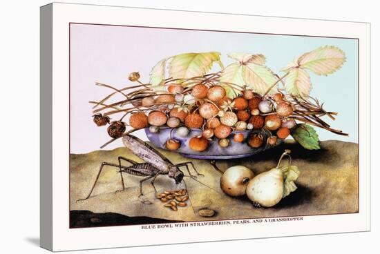Bowl of Strawberries, Pears and a Grasshopper-Giovanna Garzoni-Stretched Canvas