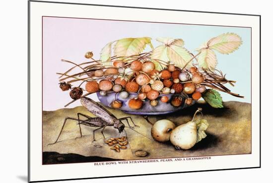 Bowl of Strawberries, Pears and a Grasshopper-Giovanna Garzoni-Mounted Art Print