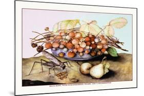 Bowl of Strawberries, Pears and a Grasshopper-Giovanna Garzoni-Mounted Art Print