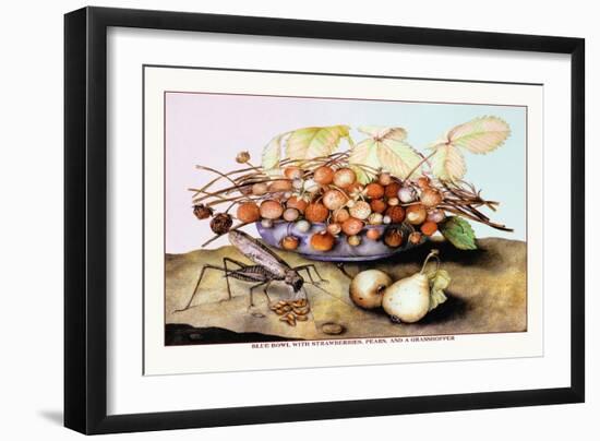 Bowl of Strawberries, Pears and a Grasshopper-Giovanna Garzoni-Framed Art Print