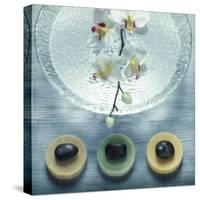 Bowl of Water and Soaps-null-Stretched Canvas