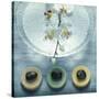 Bowl of Water and Soaps-null-Stretched Canvas