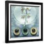 Bowl of Water and Soaps-null-Framed Photographic Print