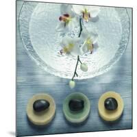 Bowl of Water and Soaps-null-Mounted Photographic Print