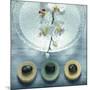 Bowl of Water and Soaps-null-Mounted Photographic Print