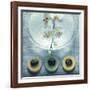 Bowl of Water and Soaps-null-Framed Photographic Print