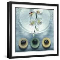 Bowl of Water and Soaps-null-Framed Photographic Print