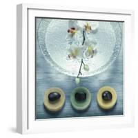 Bowl of Water and Soaps-null-Framed Photographic Print