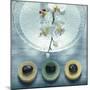 Bowl of Water and Soaps-null-Mounted Photographic Print