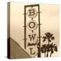 Bowl Sign-Walter Robertson-Stretched Canvas