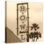 Bowl Sign-Walter Robertson-Stretched Canvas