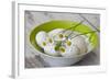 Bowl with Eggs and Daisies-Andrea Haase-Framed Photographic Print