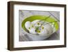 Bowl with Eggs and Daisies-Andrea Haase-Framed Photographic Print