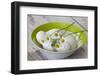 Bowl with Eggs and Daisies-Andrea Haase-Framed Photographic Print