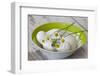 Bowl with Eggs and Daisies-Andrea Haase-Framed Photographic Print