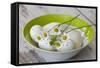 Bowl with Eggs and Daisies-Andrea Haase-Framed Stretched Canvas