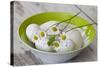 Bowl with Eggs and Daisies-Andrea Haase-Stretched Canvas