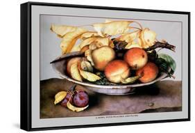 Bowl with Peaches and Plums-Giovanna Garzoni-Framed Stretched Canvas