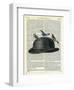 Bowler Hat with Birds-Marion Mcconaghie-Framed Art Print