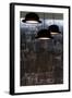 Bowler Hats as Light Fittings-David Barbour-Framed Photo