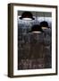 Bowler Hats as Light Fittings-David Barbour-Framed Photo