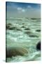 Bowling Ball Beach Forms-Vincent James-Stretched Canvas