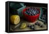 Bowls of Fresh Blueberries on a Rustic Farm Table-Cynthia Classen-Framed Stretched Canvas