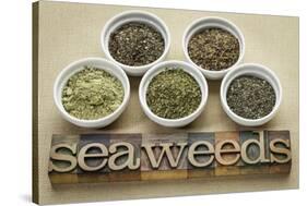 Bowls of Seaweed Diet Supplements (Bladderwrack, Sea Lettuce, Kelp Powder, Wakame and Irish Moss)-PixelsAway-Stretched Canvas