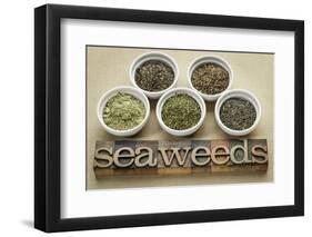 Bowls of Seaweed Diet Supplements (Bladderwrack, Sea Lettuce, Kelp Powder, Wakame and Irish Moss)-PixelsAway-Framed Premium Photographic Print