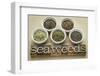 Bowls of Seaweed Diet Supplements (Bladderwrack, Sea Lettuce, Kelp Powder, Wakame and Irish Moss)-PixelsAway-Framed Premium Photographic Print