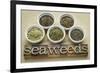 Bowls of Seaweed Diet Supplements (Bladderwrack, Sea Lettuce, Kelp Powder, Wakame and Irish Moss)-PixelsAway-Framed Photographic Print