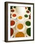 Bowls of Spices from Above, Agra, India-Bill Bachmann-Framed Photographic Print