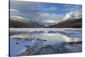 Bowman Lake in Winter, Glacier National Park, Montana, USA-Chuck Haney-Stretched Canvas