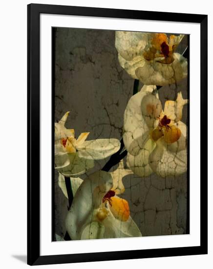 Bowman-Cristina Carra Caso-Framed Photographic Print