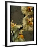 Bowman-Cristina Carra Caso-Framed Photographic Print